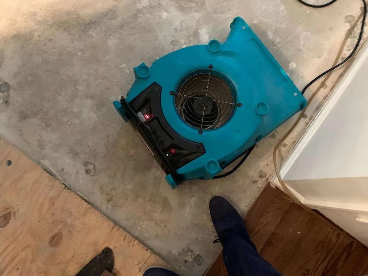 Air mover drying subfloor during Commercial Water Damage Restoration in Holly Hill